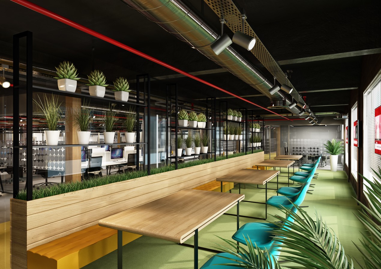 TRT El Arabia - 2017